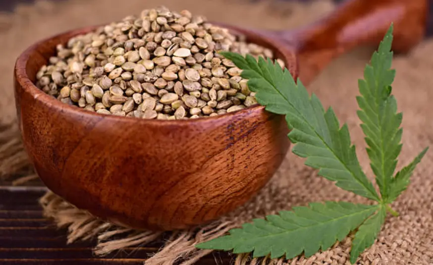 Wooden bowl filled with hemp seeds on burlap