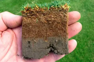 A hand holds a soil cross-section showing layers