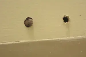 Two close-up holes in a beige wall