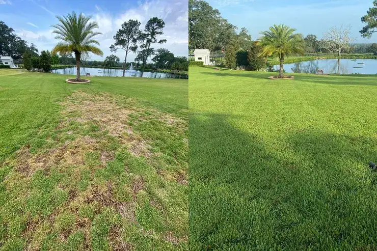 rsw_740cg_true-2_11zon